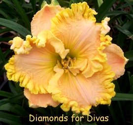 DIAMOND FOR DIVAS