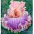 GEORGETTE SILK